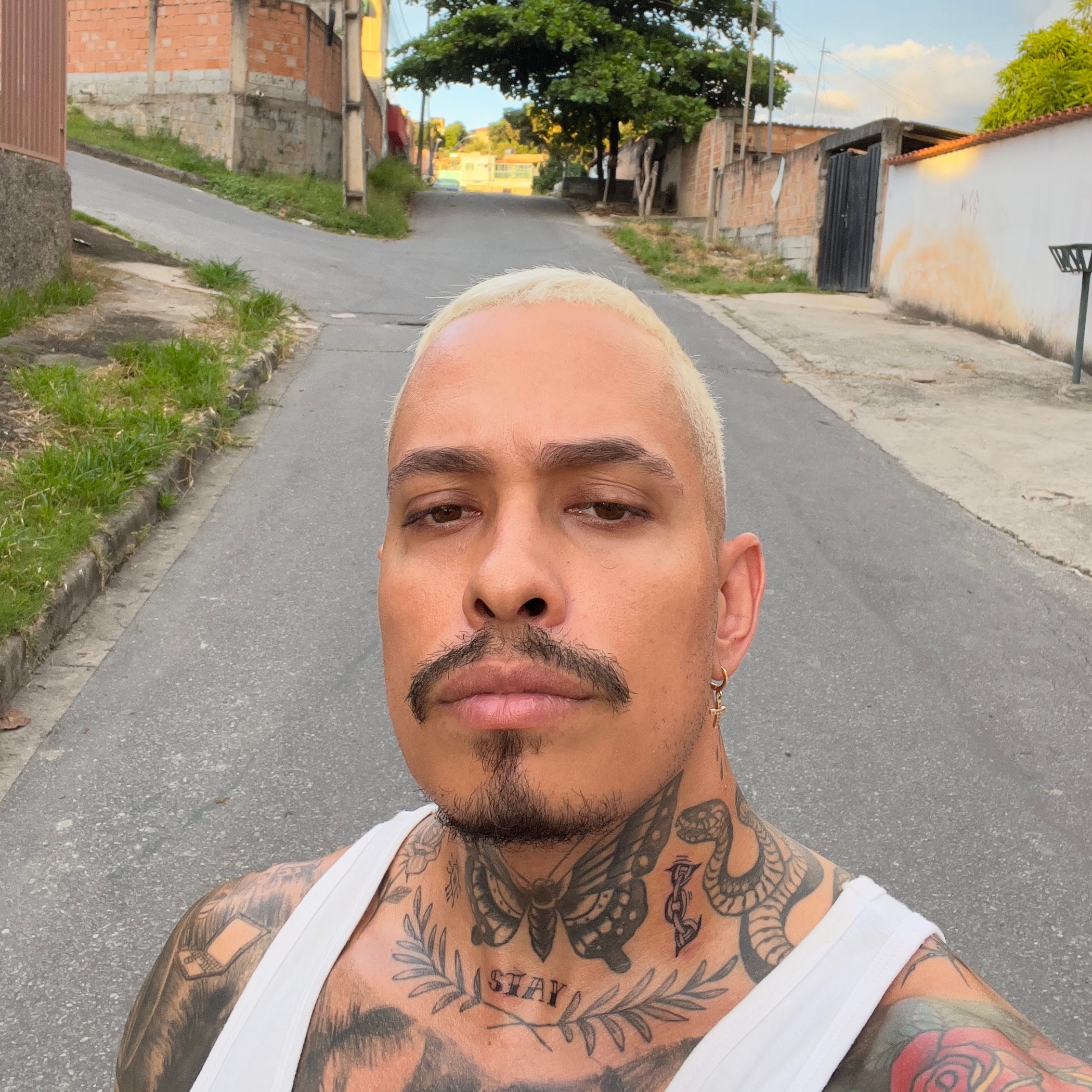 Onionpires - Artista